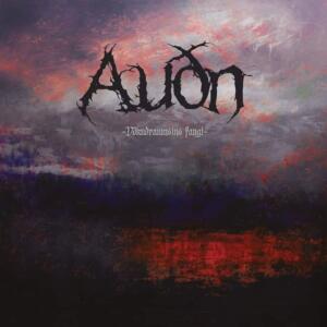 Audn