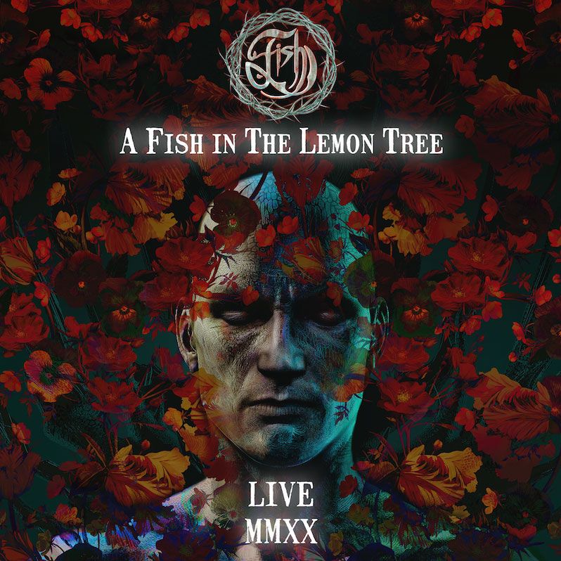 A-Fish-In-The-Lemon-Tree A-Fish-In-The-Lemon-Tree