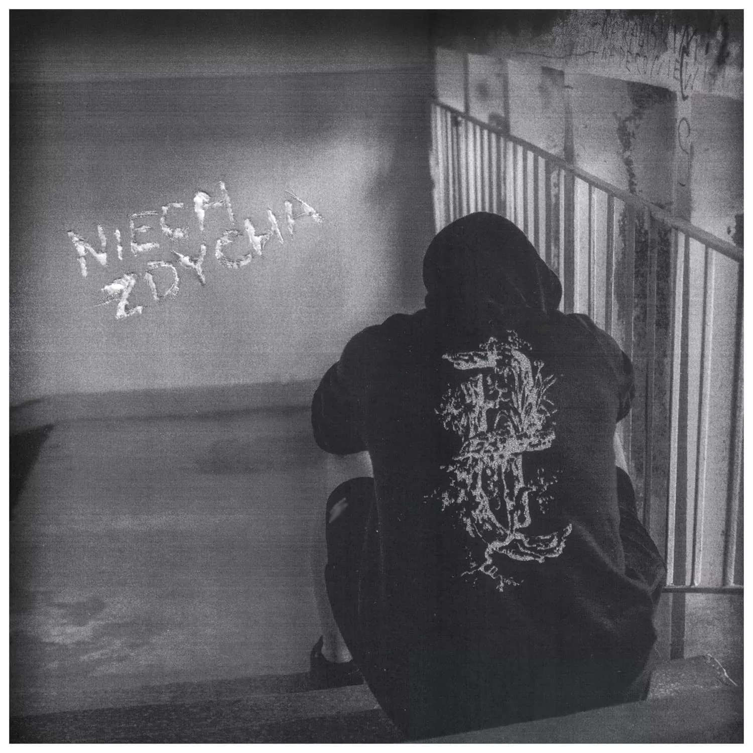 La banda polaca de black metal DESPISED CRUELTY lanzó a finales de 2024 su segundo álbum de estudio Niech zdycha.
