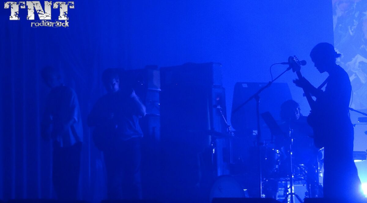 BO NINGEN Mister Virus (1)