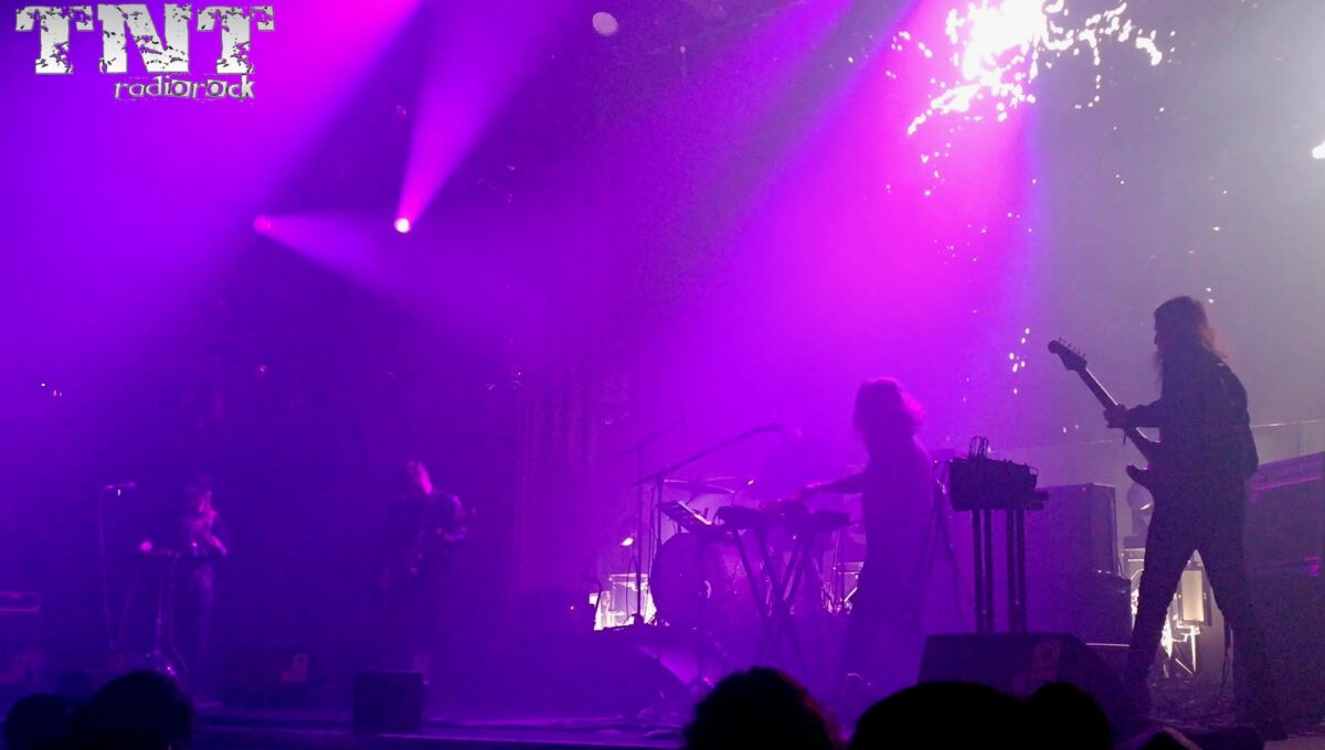 BO NINGEN Mister Virus (1)