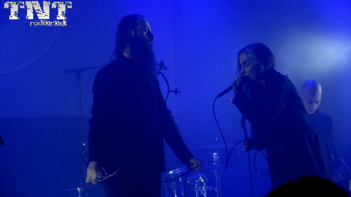 BO NINGEN Mister Virus (1)