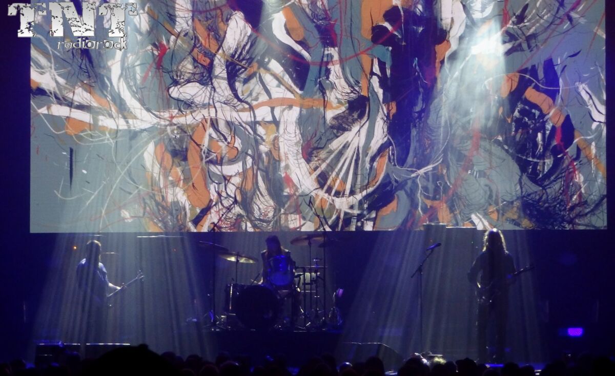BO NINGEN Mister Virus (1)