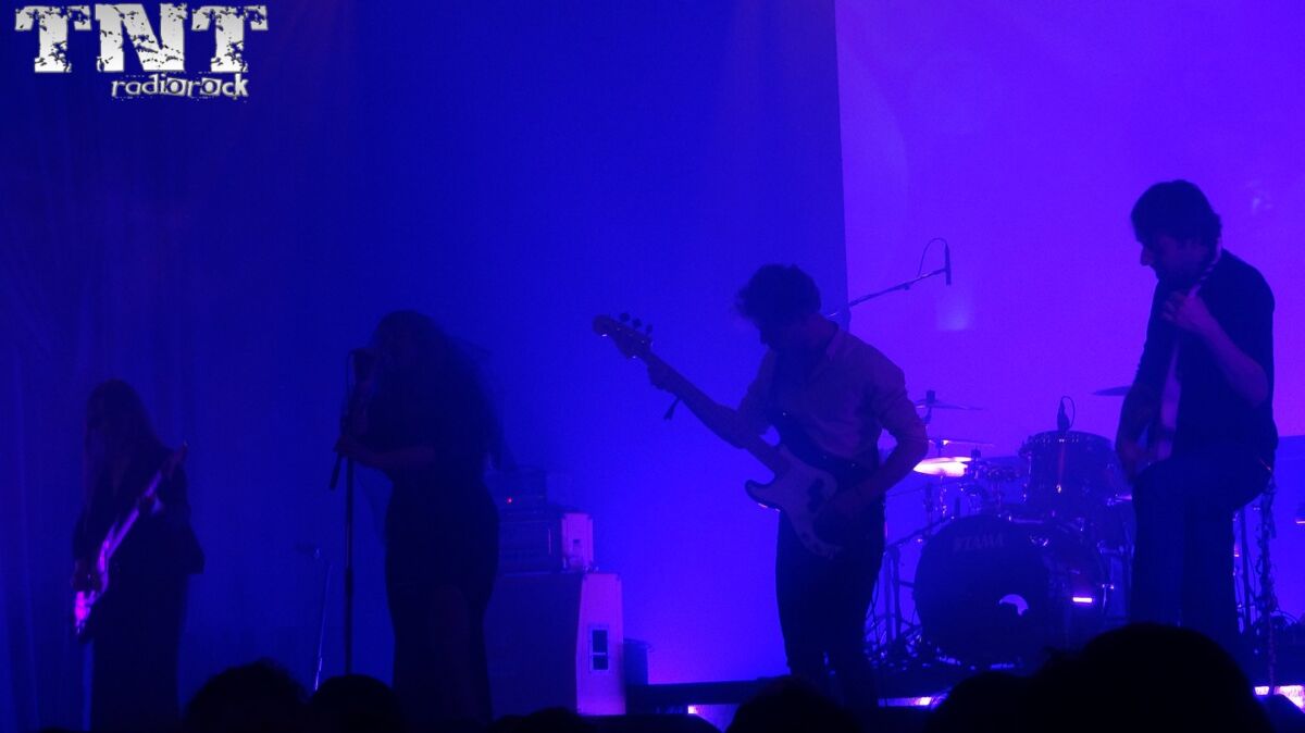 BO NINGEN Mister Virus (1)