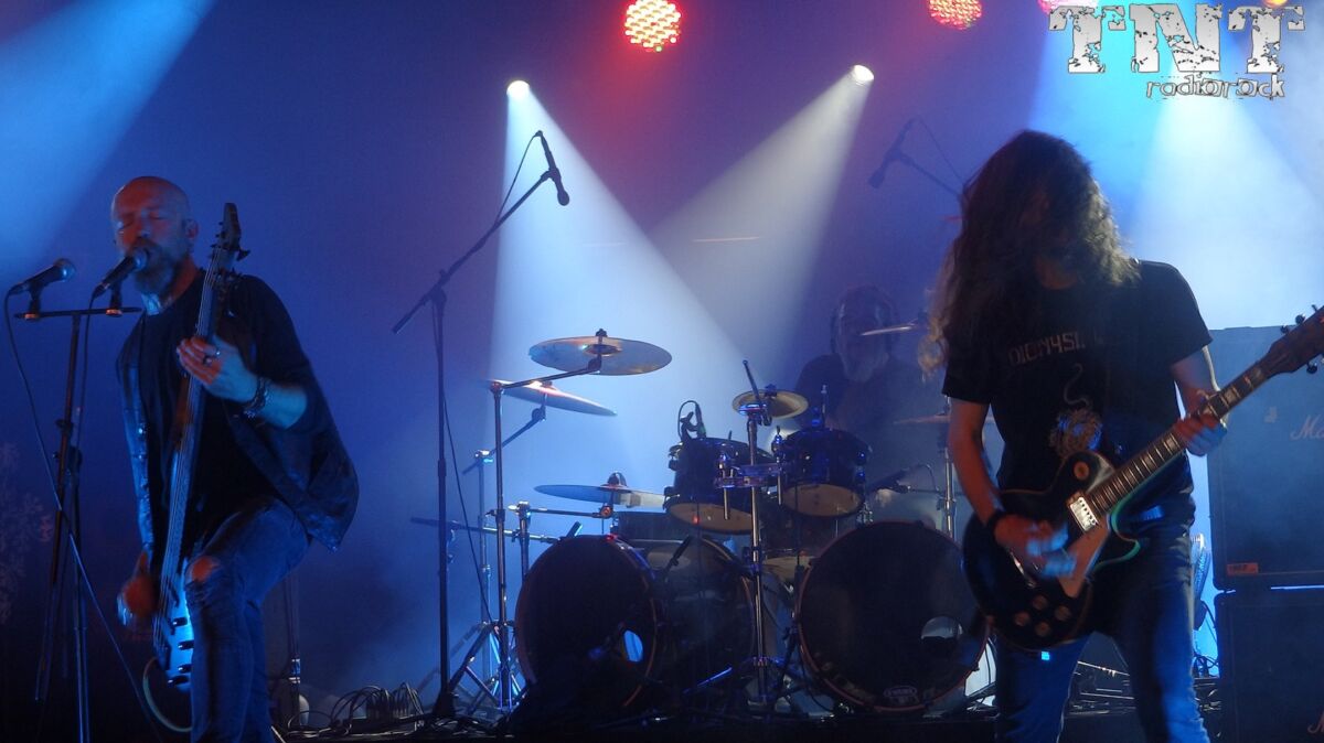 SACRED SIN (4) Mister Virus