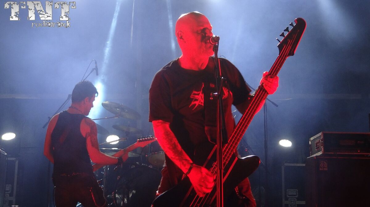 SACRED SIN (4) Mister Virus