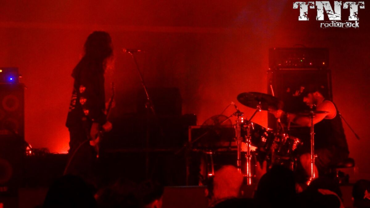 SACRED SIN (4) Mister Virus