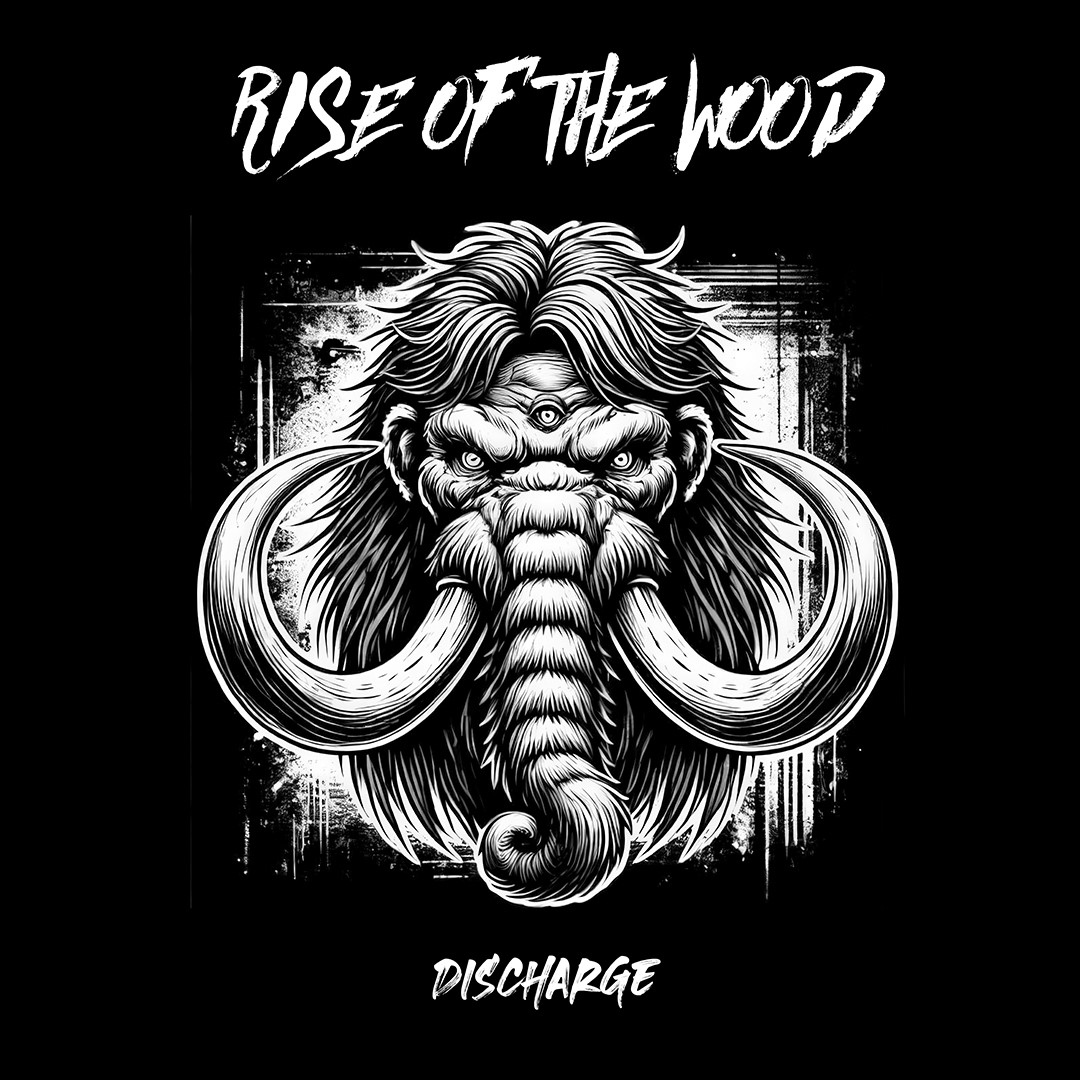 RISE OF THE WOOD vienen con groove y melodía en su segundo álbum Discharge