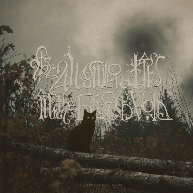 THE ANSWER LIES IN THE BLACK VOID revela su segundo sencillo Sine Morbo con nuevo video