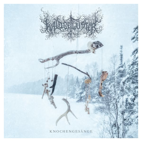 WALDGEFLÜSTER anuncian Knochengesänge, su nuevo álbum doble y nos regalan un single cautivador
