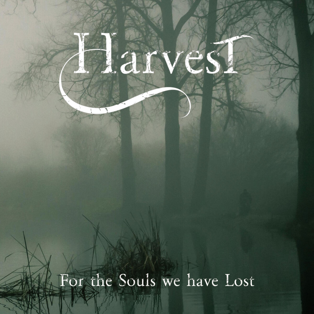 HARVEST lanzan el nuevo single The Path of Life y revelan detalles de su debut For The Souls We Have Lost