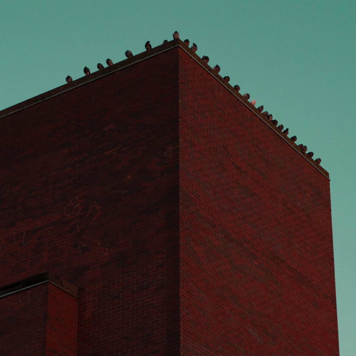 LAST HYENA anuncia su nuevo EP Suspect Your Elders