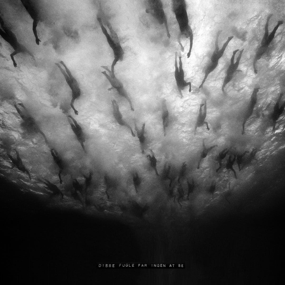 MORILD lanza su segundo álbum Disse Fugle Får Ingen At Se a través de Vendetta Records