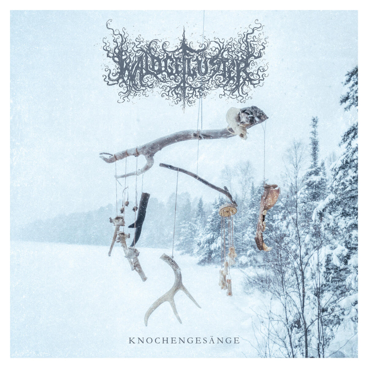 WALDGEFLÜSTER presentan el nuevo single Krähenpsalme con Austin de Panopticon