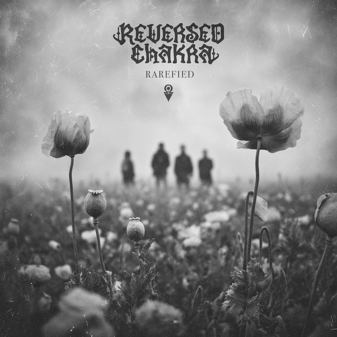 REVERSED CHAKRA lanzan su nuevo EP Rarefied, una fusión de belleza, oscuridad y atmósferas post-rock