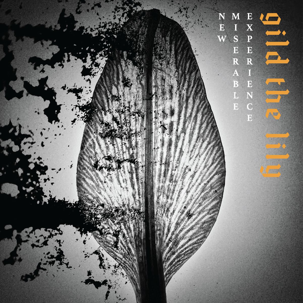 NEW MISERABLE EXPERIENCE presenta Ataraxia, un nuevo adelanto de Gild The Lily