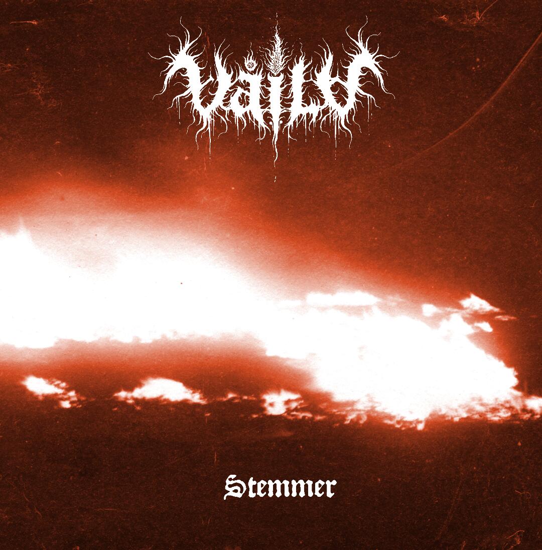VÅILD irrumpe con fuerza en el black metal atmosférico con su debut Stemmer basado en la poesía de Viggo Stuckenberg