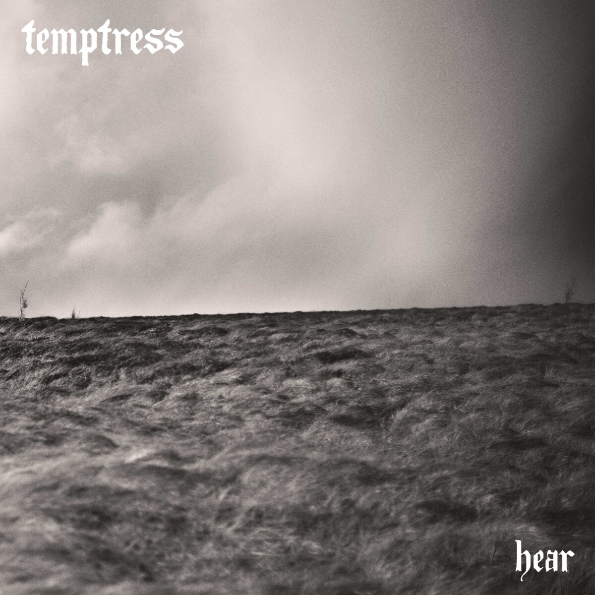 TEMPTRESS estrenan el single These Walls! como adelanto de su nuevo álbum hear