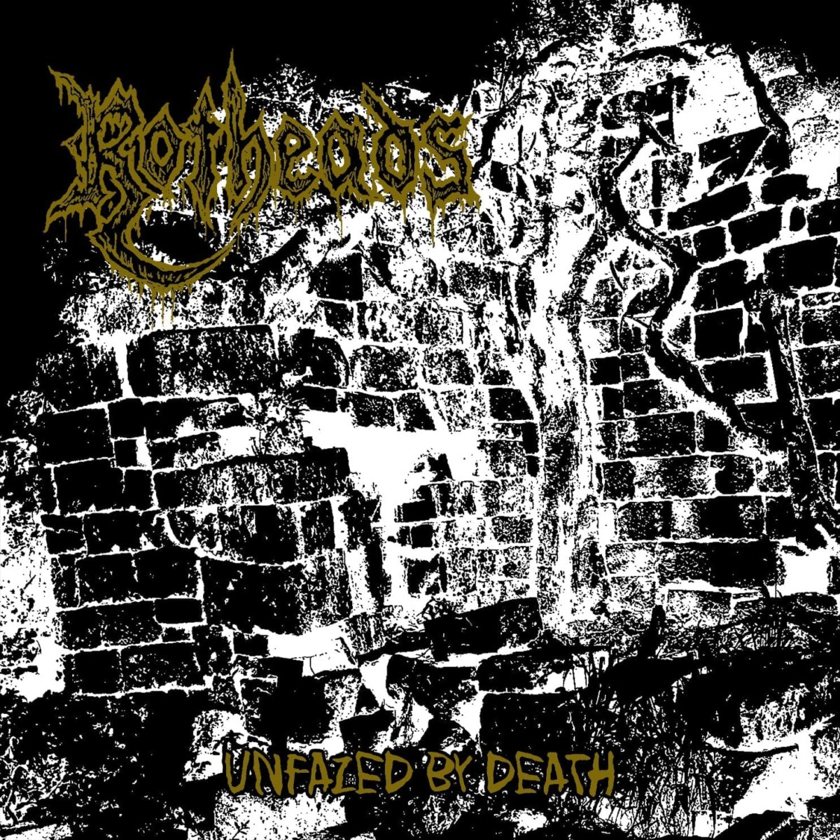 ROTHEADS celebra una década de su debut con la edición aniversario de Unfazed by Death