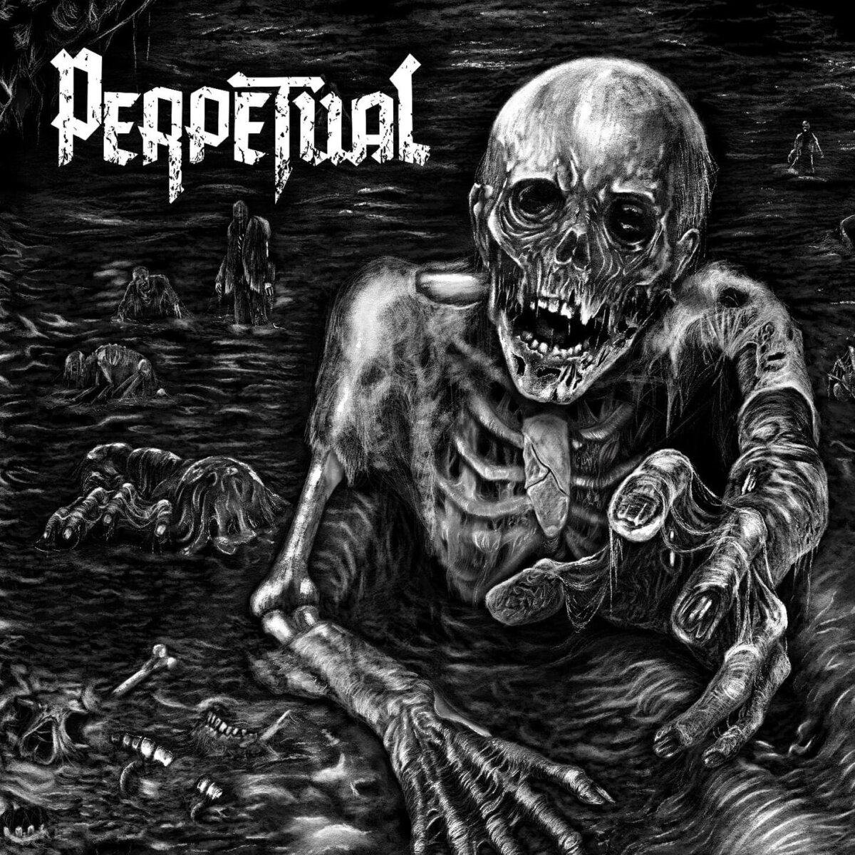 PERPETUAL abre nueva etapa con el single Meadows & Mires