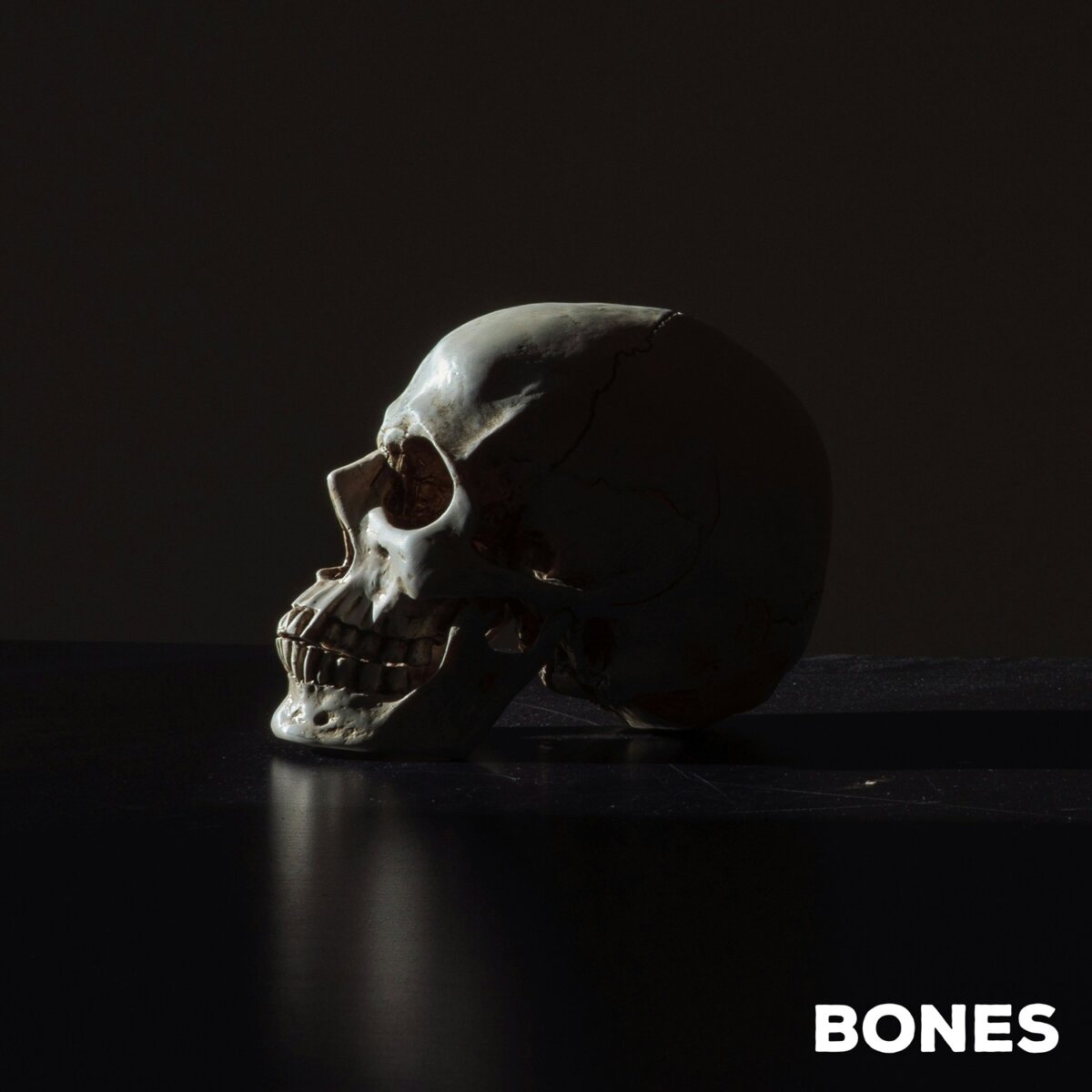BASTION ROSE avanzan con fuerza con su himno heavy metal Bones, segundo single de su próximo álbum Blue Rising