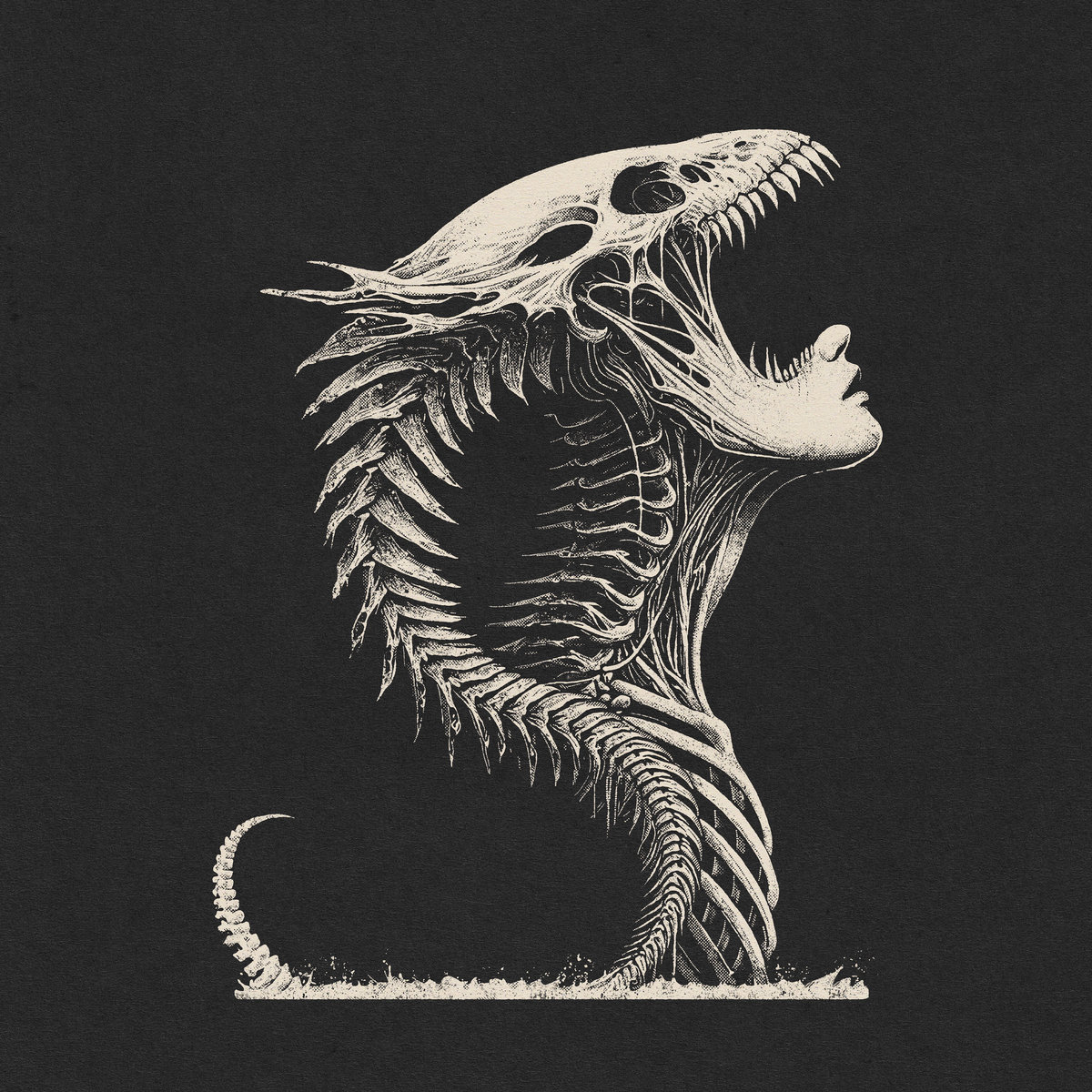 SALOS presenta Sagittarius, un nuevo adelanto de su debut A Slaughter For the Empire