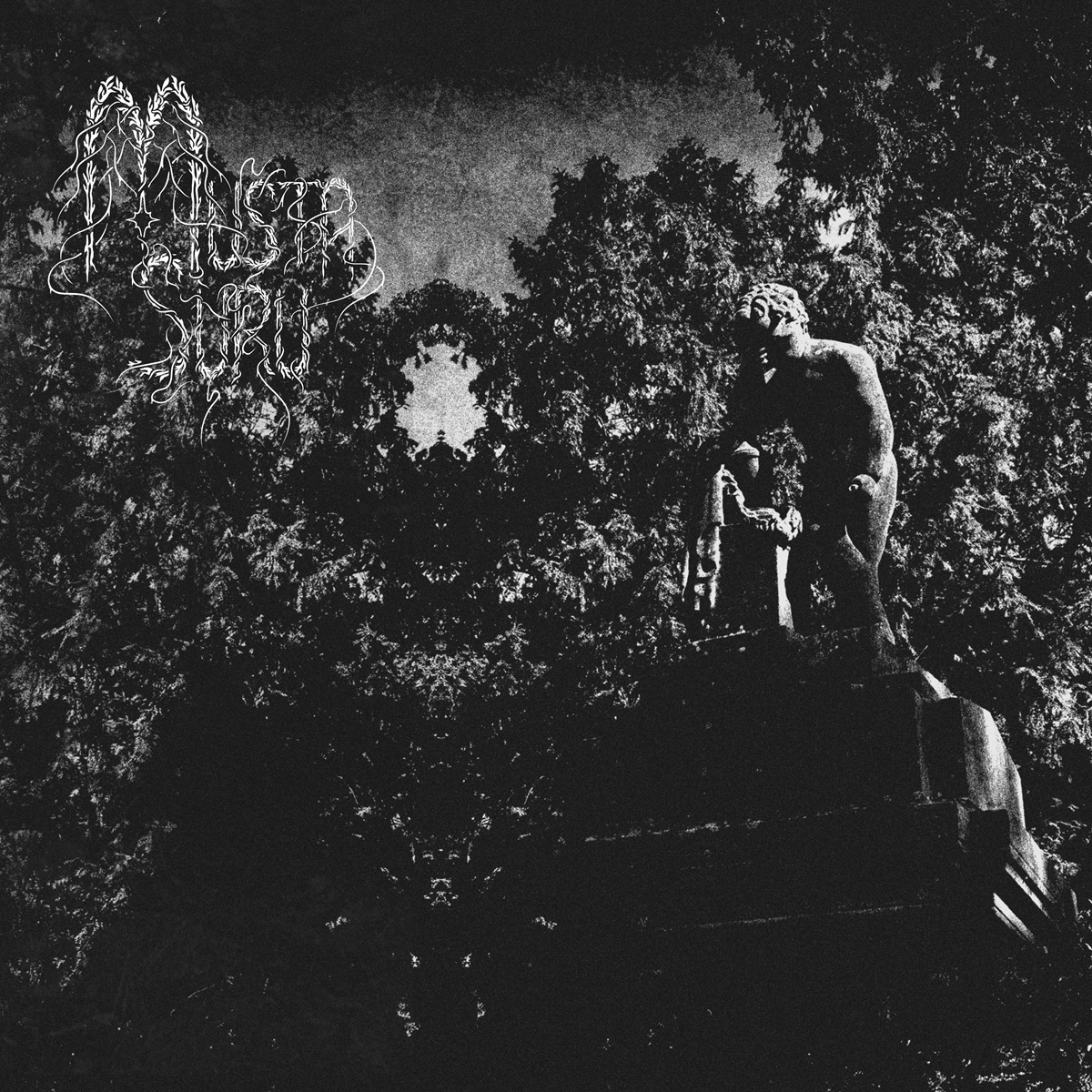 MUSTA SURU presentan la portada y el título de su nuevo álbum
