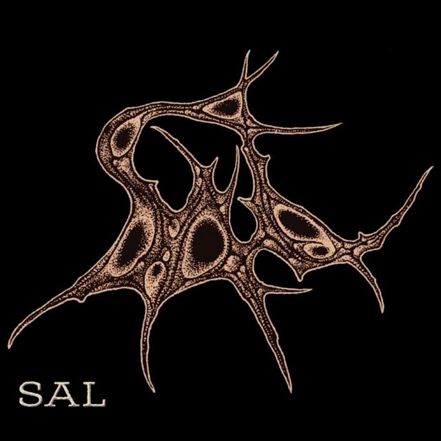 SAL publicarán su EP homónimo el 1 de mayo: metal experimental, noise e industrial en un viaje sonoro devastador