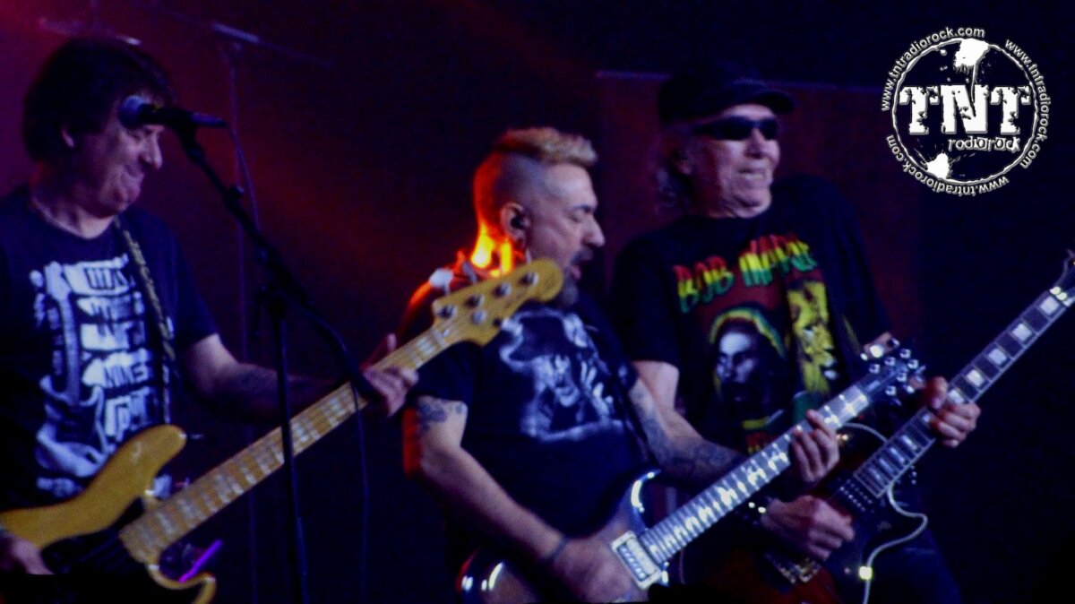 Porretas Mister Virus (19)