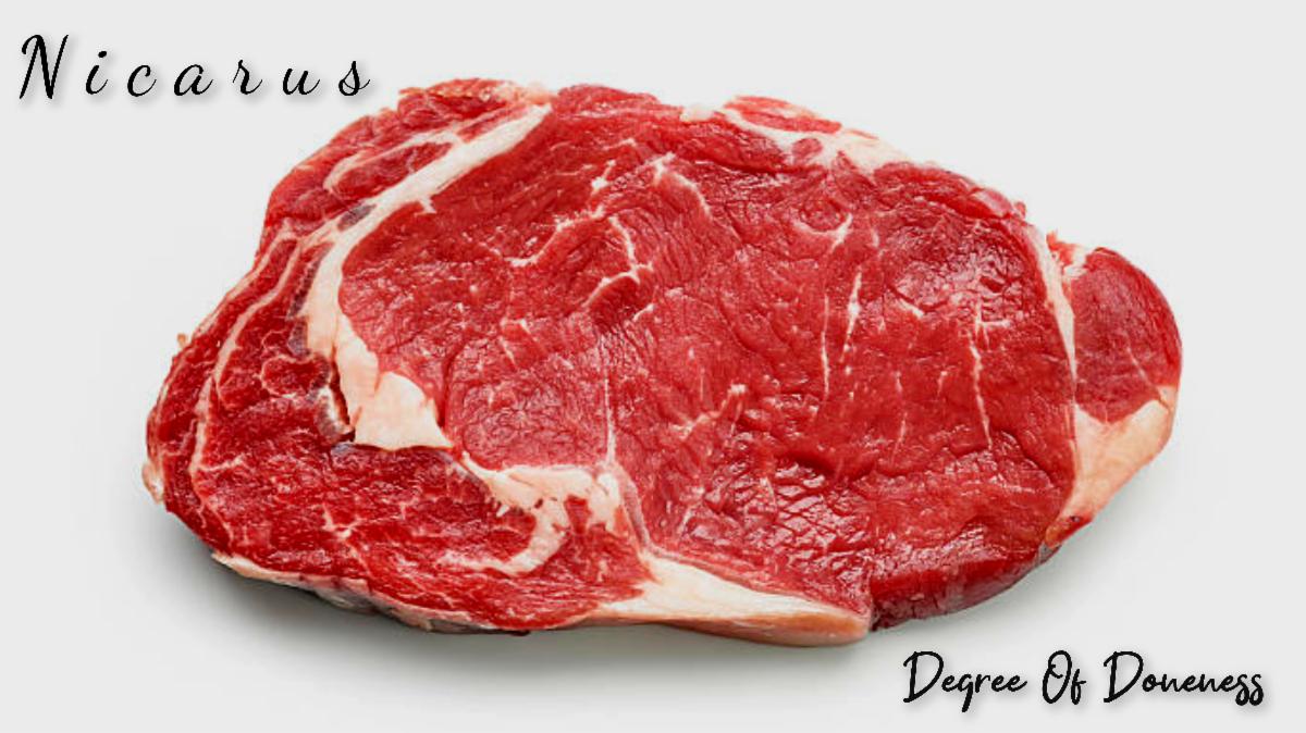 NICARUS estrena el vídeo oficial de Vegan tras la publicación del EP Degree Of Doneness