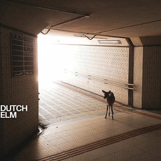 DUTCH ELM presenta Youre Not Invited to That Riff, adelanto de su debut homónimo