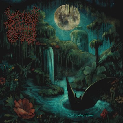 SALLOW MOTH presentan su single Distended in Panglacial Advent, adelanto de su próximo álbum Hydrophilous Brood