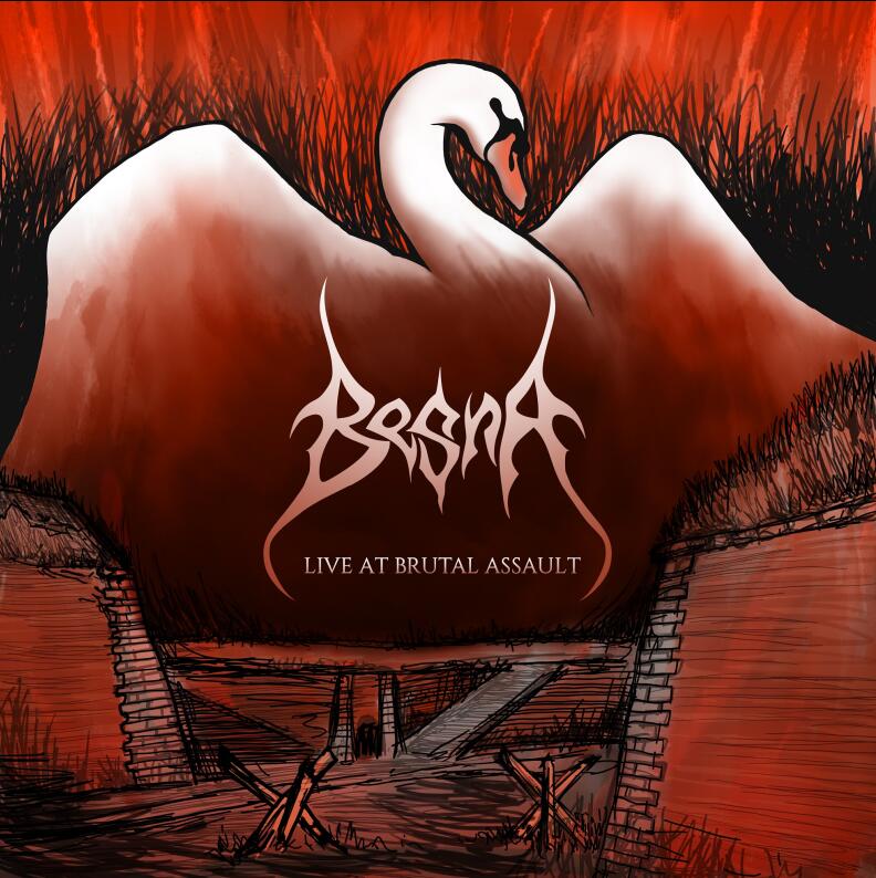 BESNA publica el directo Live At Brutal Assault hoy 25 de mayo