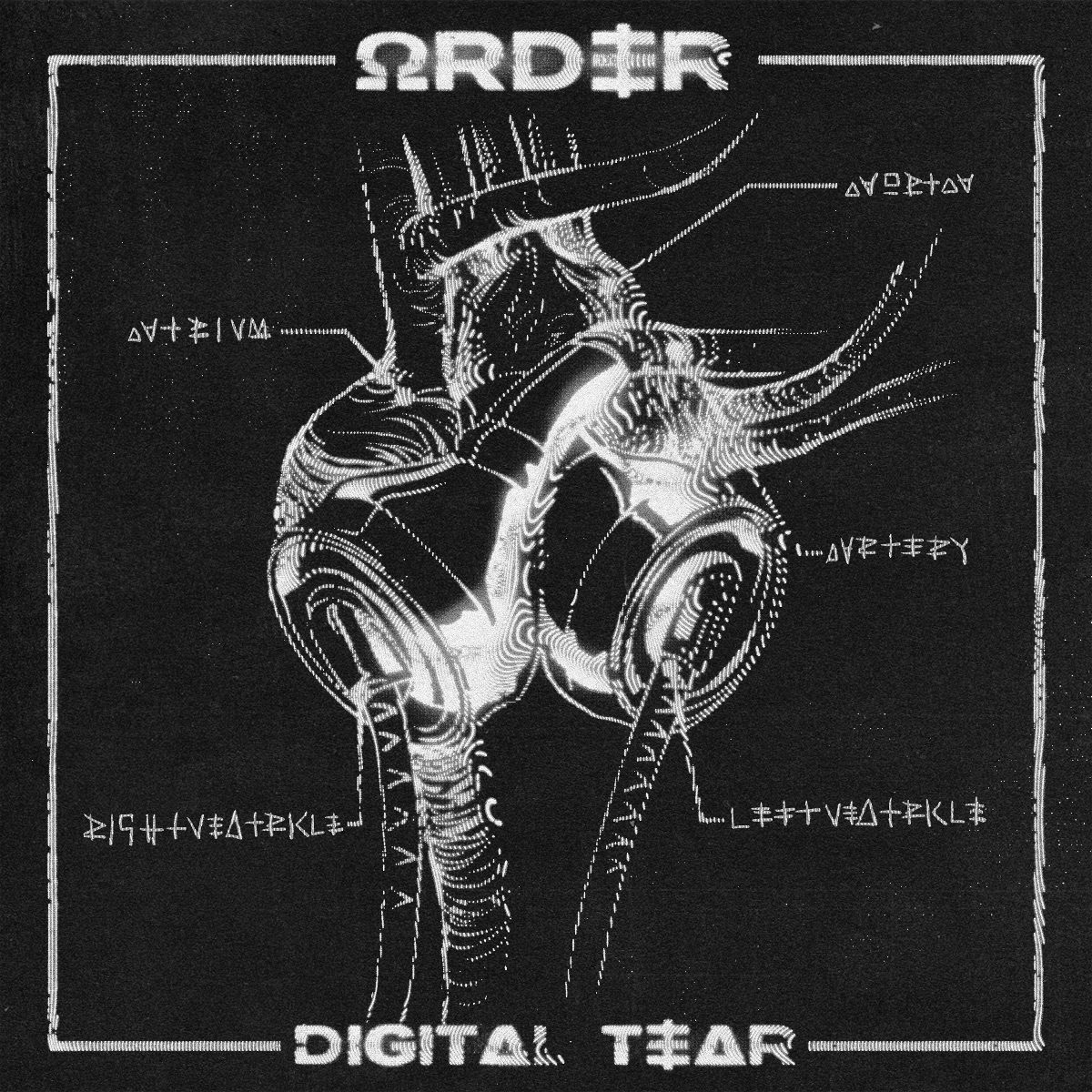 ORDER lanzan su nuevo single Digital Tear, un golpe de electrónica oscura y heavy gothic rock
