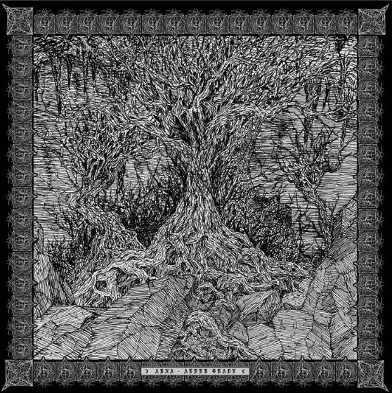 ARNA / ALDER GLADE (2022)