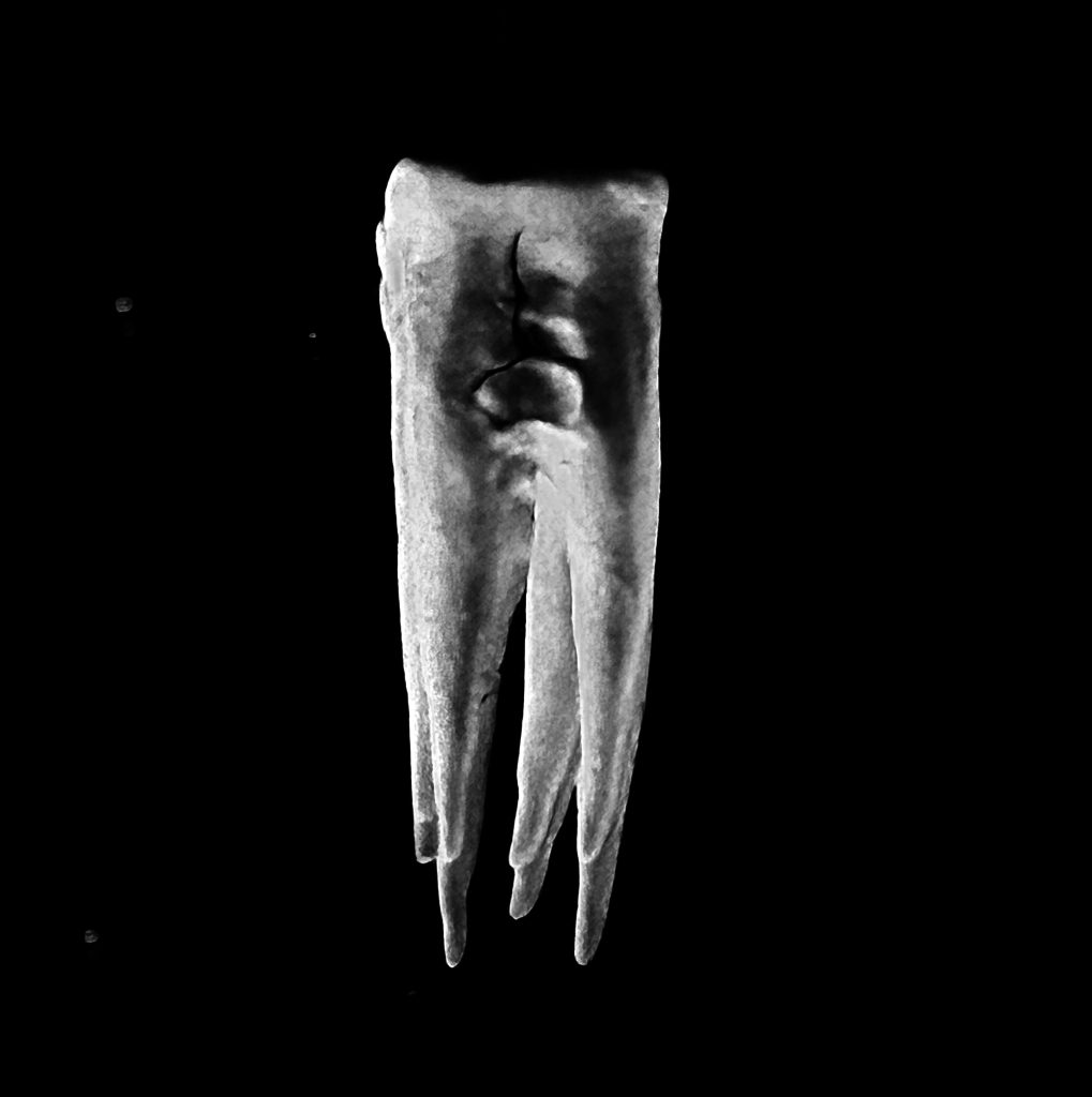 CHALK TEETH publican su álbum debut homónimo, un rito darkwave abrasivo ya disponible en vinilo y digital