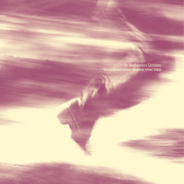 BEES MADE HONEY IN THE VEIN TREE presentan el videoclip Clutching at Straws y profundizan en un viaje inquieto y emocional
