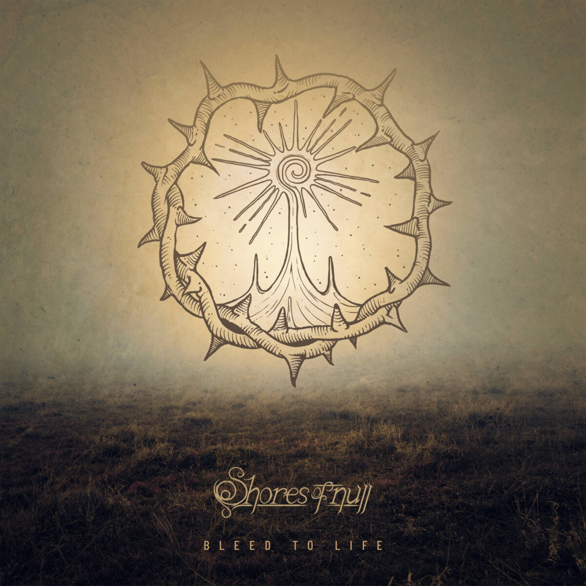 SHORES OF NULL presenta Bleed to Life, primer adelanto de su nuevo álbum Homesick