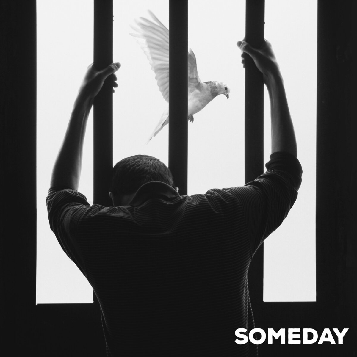 BASTION ROSE regresa con Someday, un himno de superación marcado por la lucha contra el cáncer de Austin Frink