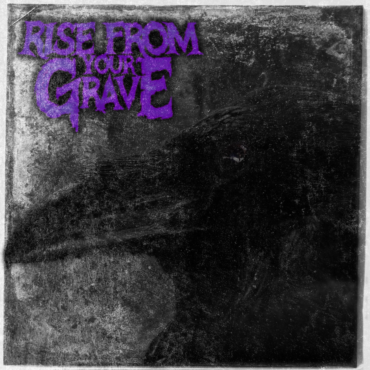 RISE FROM YOUR GRAVE lanzan el single Nevermore, segundo adelanto de su álbum Choose Your Scare
