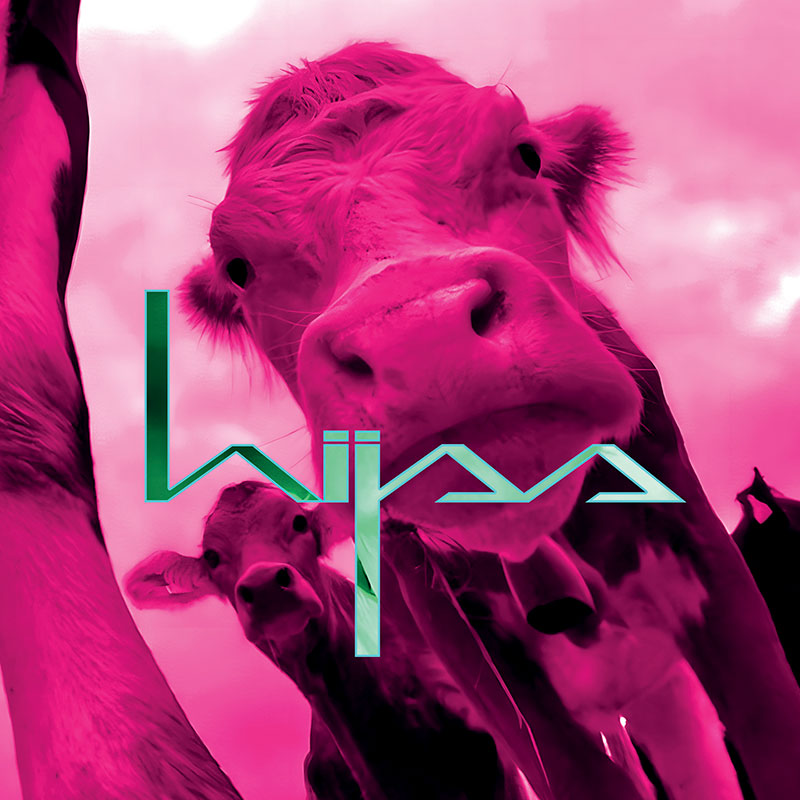 HIJSS presentan el videoclip s.w.a.n. y muestran su kosmo kraut más crudo y psicotrópico