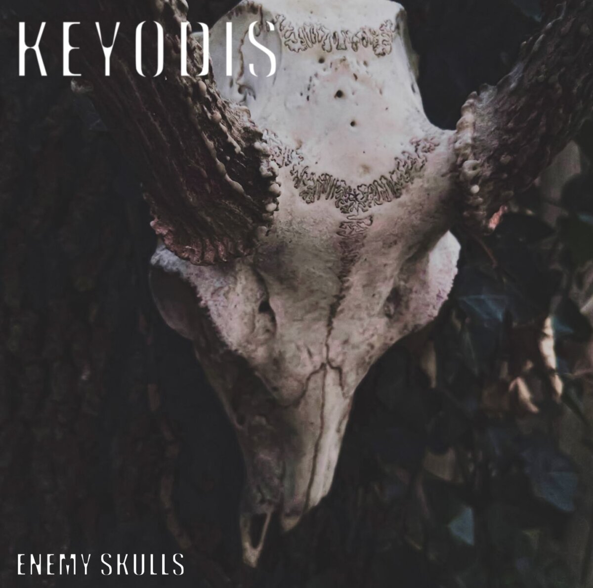 KEYODIS publican el álbum Enemy Skulls, su obra más ambiciosa de metalcore cristiano