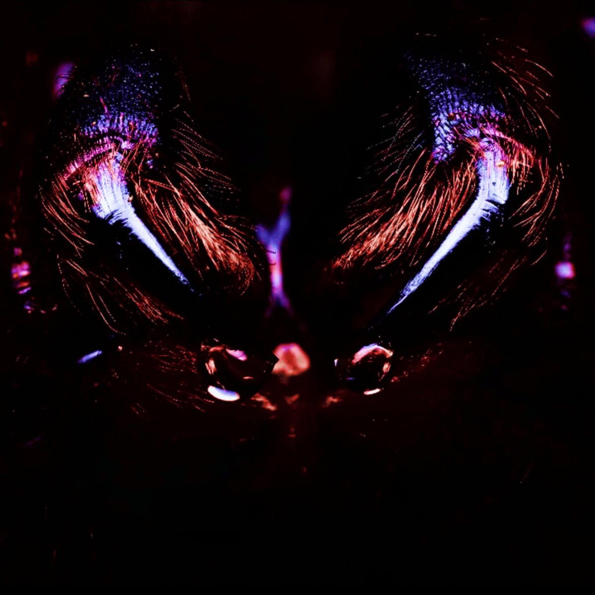 OMBRA debutará con Night Terror, un EP que aborda los aspectos más oscuros de la mente humana