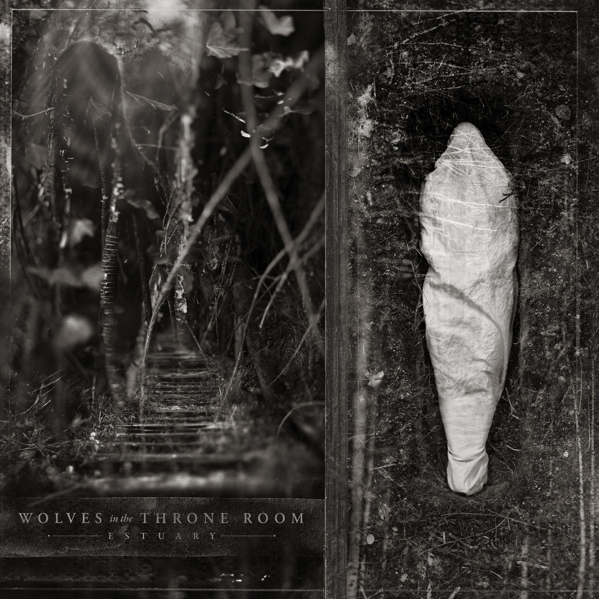 WOLVES IN THE THRONE ROOM anuncia Estuary, un viaje postapocalíptico hacia las ruinas de un mundo transformado