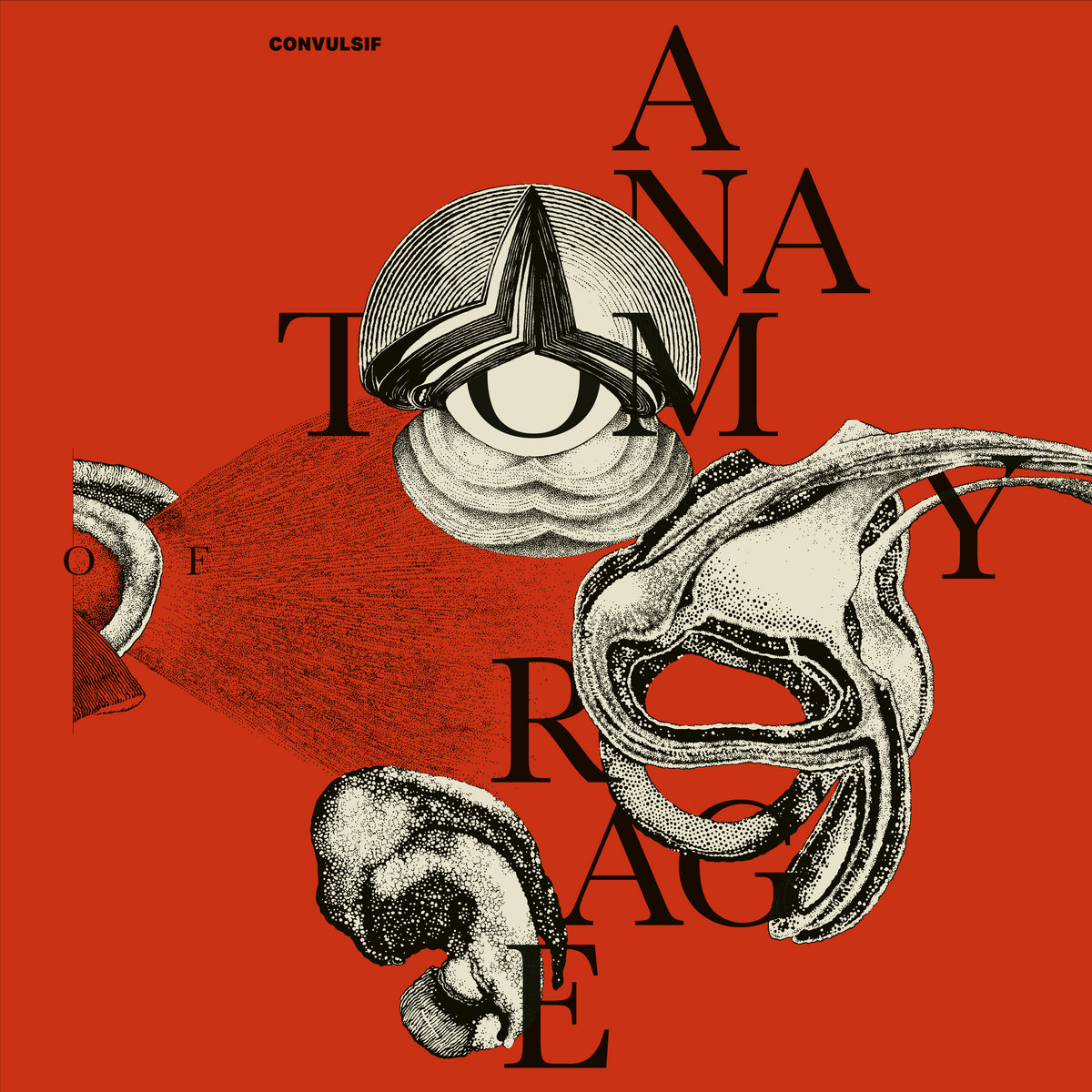 CONVULSIF adelanta su nuevo álbum con la incendiaria A Torch Then Blaze