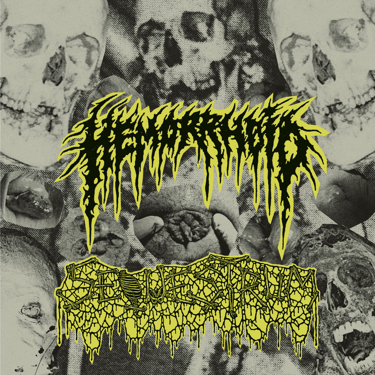 HEMORRHOID y SEQUESTRUM unen fuerzas en un split de deathgrind y deathgore