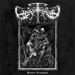 BONJOUR TRISTESSE anuncia su nuevo álbum, Disaster Triumphant, y presenta su primer single