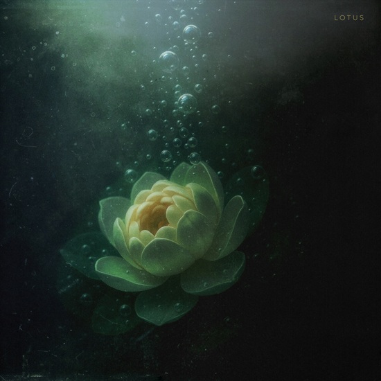SIDUS presenta el videoclip de Embrace The Void junto a Sarp Keski de Bipolar Architecture