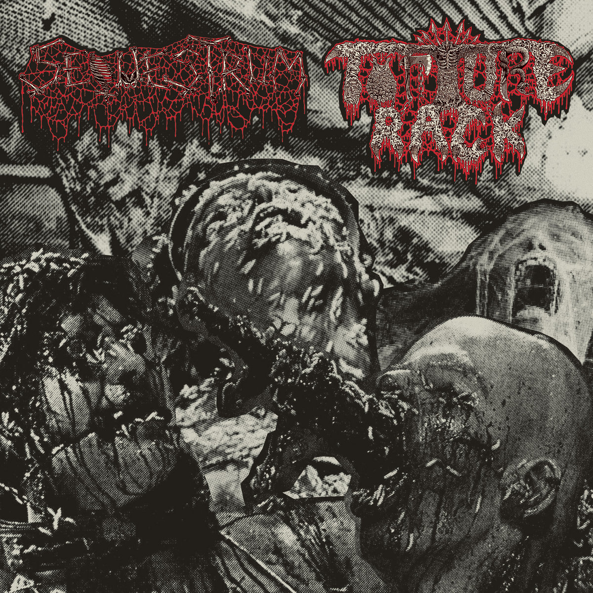 SEQUESTRUM y TORTURE RACK unen fuerzas en un lanzamiento compartido de death metal putrefacto