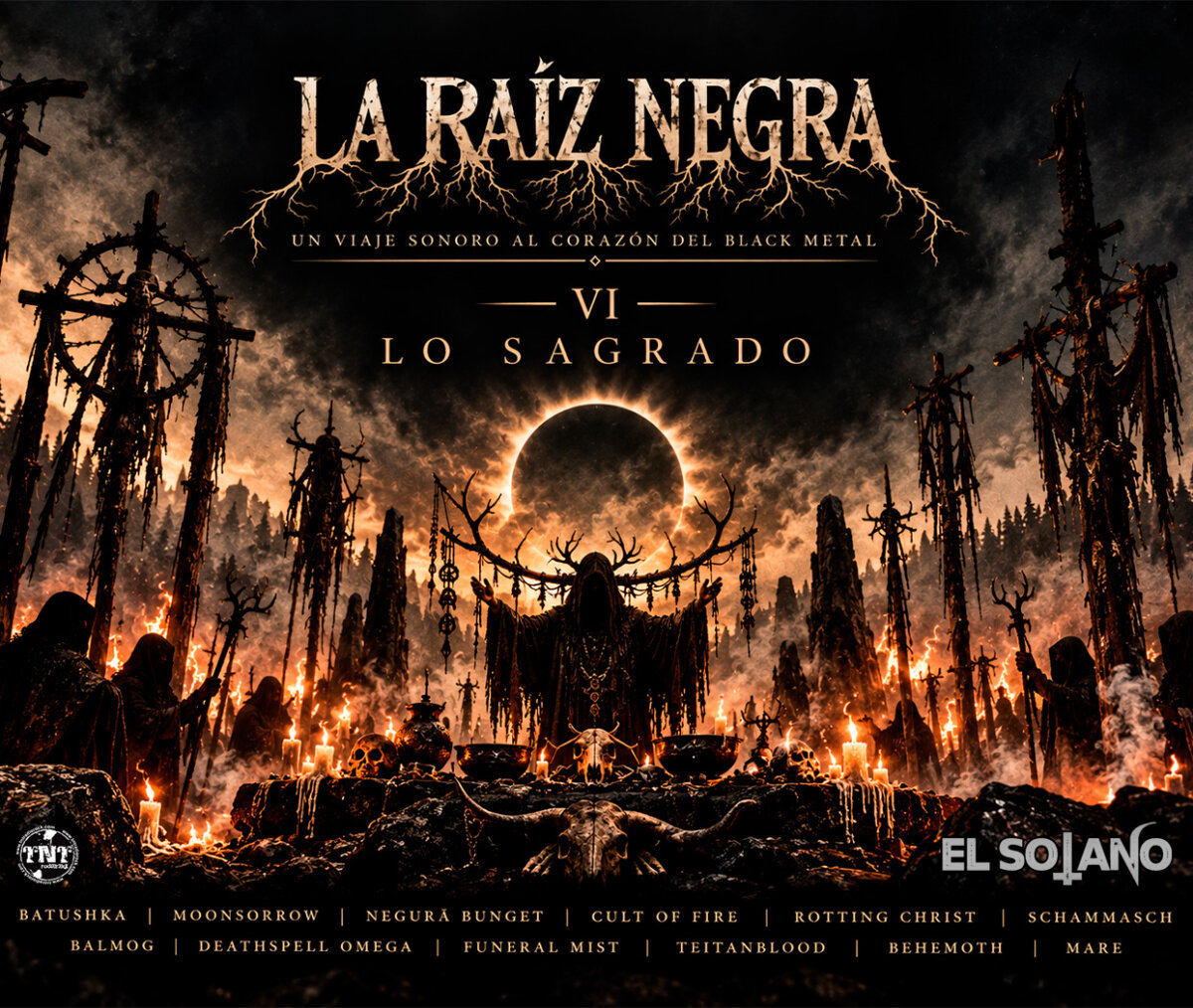 ST RAIZ 6